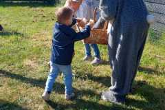 IMG-20250420-WA0011